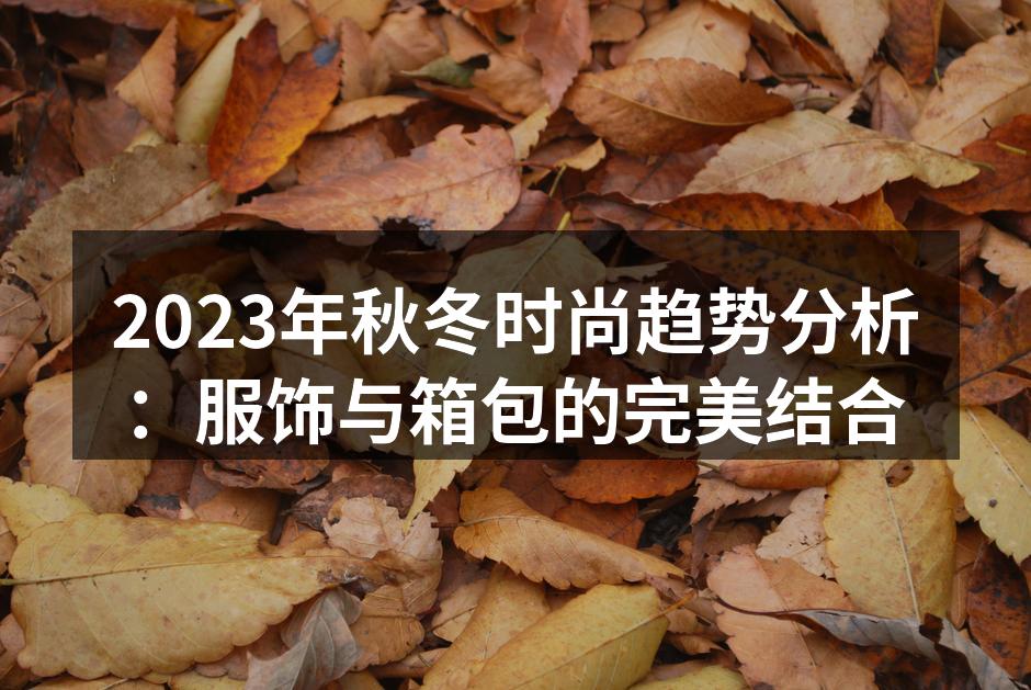 2023年秋冬时尚趋势分析：服饰与箱包的