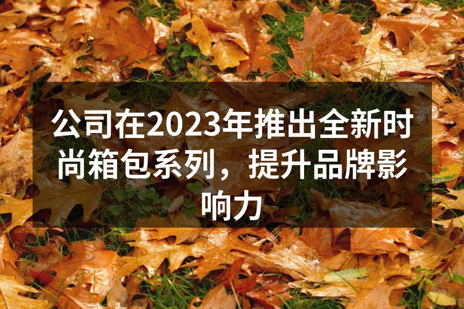 公司在2023年推出全新时尚箱包系列，提