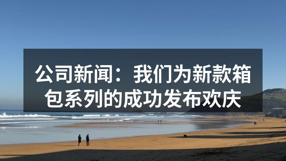 新款箱包系列展示区